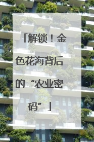 解锁！金色花海背后的“农业密码”