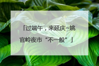 过端午，来延庆~姚官岭夜市“不一般”