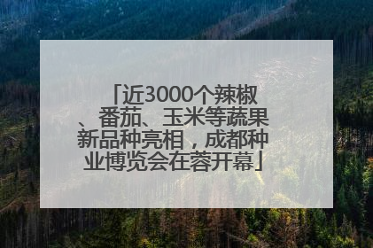 近3000个辣椒、番茄、玉米等蔬果新品种亮相，成都种业博览会在蓉开幕