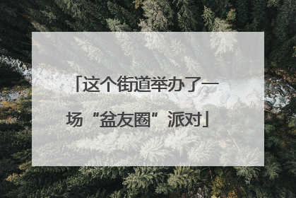 这个街道举办了一场“盆友圈”派对