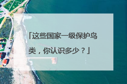 这些国家一级保护鸟类，你认识多少？