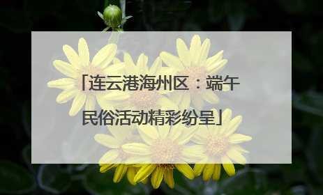连云港海州区：端午民俗活动精彩纷呈