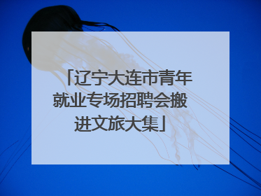 辽宁大连市青年就业专场招聘会搬进文旅大集