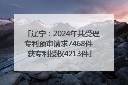 辽宁：2024年共受理专利预审请求7468件 获专利授权4213件