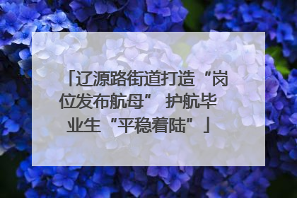 辽源路街道打造“岗位发布航母” 护航毕业生“平稳着陆”