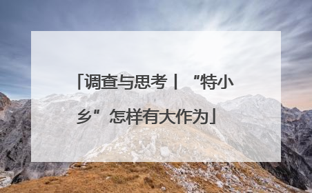调查与思考丨“特小乡”怎样有大作为