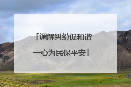 调解纠纷促和谐 一心为民保平安