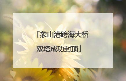 象山港跨海大桥双塔成功封顶