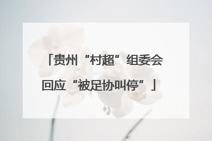 贵州“村超”组委会回应“被足协叫停”