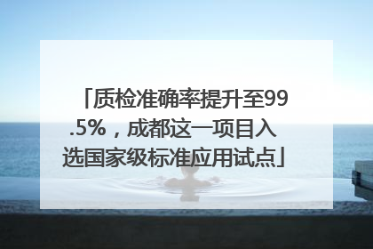 质检准确率提升至99.5%，成都这一项目入选国家级标准应用试点