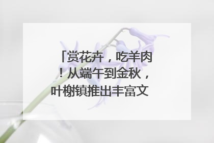赏花卉，吃羊肉！从端午到金秋，叶榭镇推出丰富文旅活动邀您爽玩