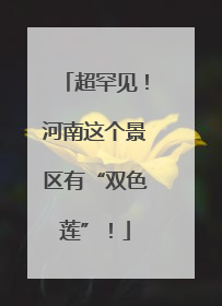 超罕见！河南这个景区有“双色莲”！