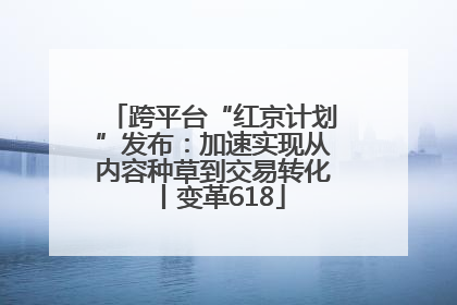 跨平台“红京计划”发布：加速实现从内容种草到交易转化丨变革618