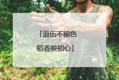 退伍不褪色 稻香映初心
