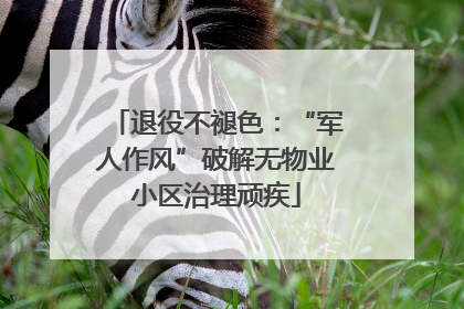 退役不褪色：“军人作风”破解无物业小区治理顽疾