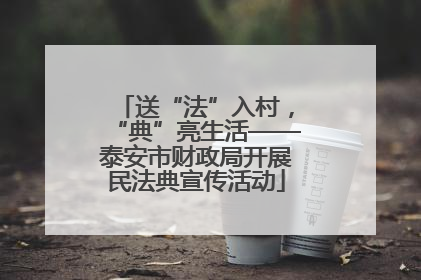 送“法”入村，“典”亮生活——泰安市财政局开展民法典宣传活动