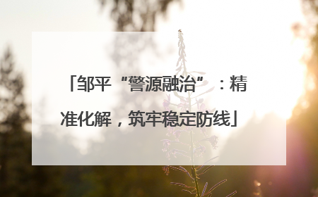 邹平“警源融治”：精准化解，筑牢稳定防线