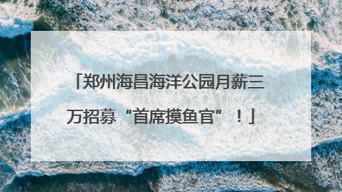 郑州海昌海洋公园月薪三万招募“首席摸鱼官”！