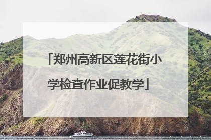 郑州高新区莲花街小学检查作业促教学