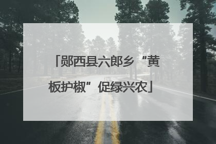 郧西县六郎乡“黄板护椒”促绿兴农