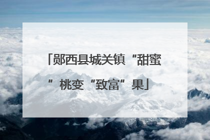 郧西县城关镇“甜蜜”桃变“致富”果