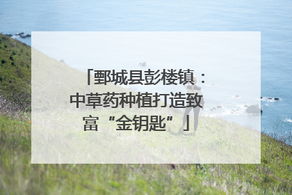 鄄城县彭楼镇：中草药种植打造致富“金钥匙”