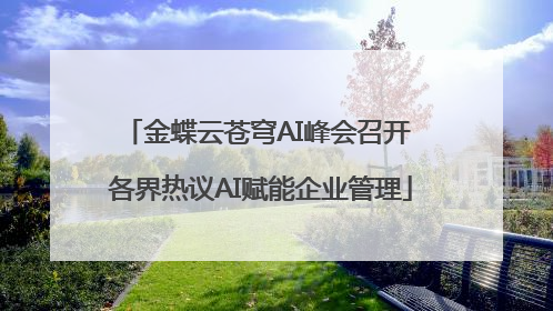 金蝶云苍穹AI峰会召开 各界热议AI赋能企业管理