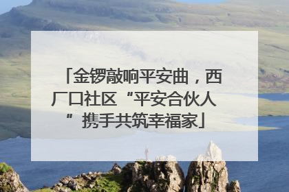 金锣敲响平安曲，西厂口社区“平安合伙人”携手共筑幸福家