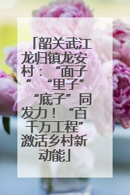 韶关武江龙归镇龙安村：“面子”“里子”“底子”同发力！“百千万工程”激活乡村新动能