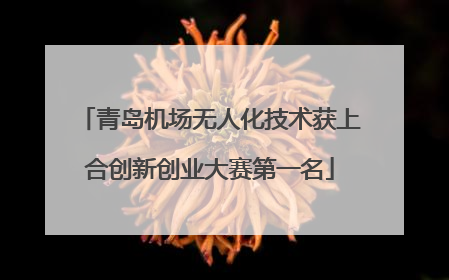 青岛机场无人化技术获上合创新创业大赛第一名
