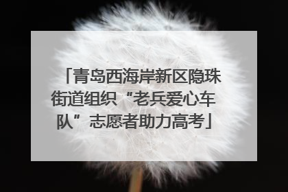 青岛西海岸新区隐珠街道组织“老兵爱心车队”志愿者助力高考