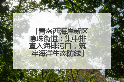 青岛西海岸新区隐珠街道：集中排查入海排污口，筑牢海洋生态防线