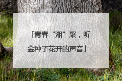 青春“湘”聚，听金种子花开的声音