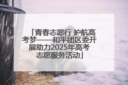 青春志愿行 护航高考梦——和平团区委开展助力2025年高考志愿服务活动