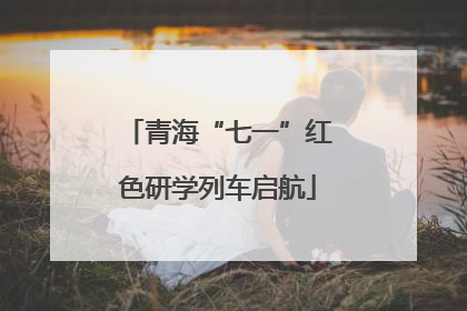 青海“七一”红色研学列车启航