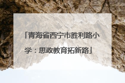 青海省西宁市胜利路小学：思政教育拓新路