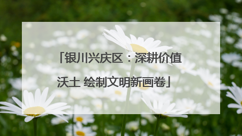 银川兴庆区：深耕价值沃土 绘制文明新画卷