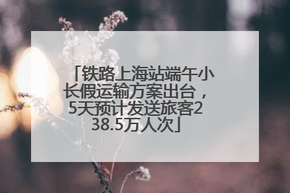 铁路上海站端午小长假运输方案出台，5天预计发送旅客238.5万人次