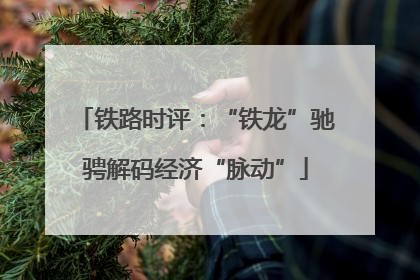 铁路时评：“铁龙”驰骋解码经济“脉动”