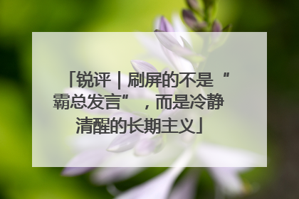 锐评｜刷屏的不是“霸总发言”，而是冷静清醒的长期主义