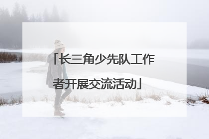 长三角少先队工作者开展交流活动