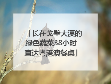 长在戈壁大漠的绿色蔬菜38小时直达粤港澳餐桌