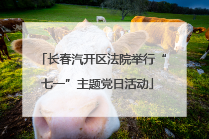 长春汽开区法院举行“七一”主题党日活动