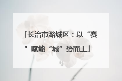 长治市潞城区：以“赛”赋能“城”势而上