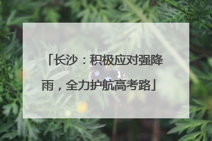 长沙：积极应对强降雨，全力护航高考路