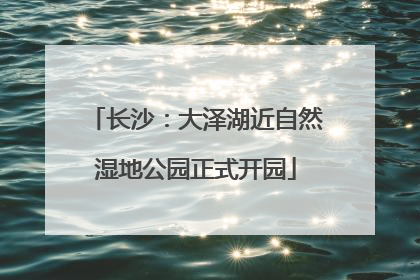 长沙：大泽湖近自然湿地公园正式开园