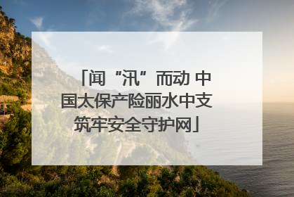 闻“汛”而动 中国太保产险丽水中支筑牢安全守护网