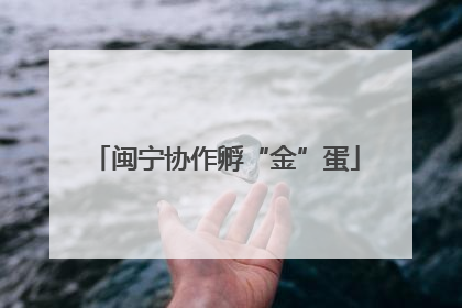 闽宁协作孵“金”蛋