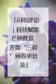 闪电评论｜科技赋能芒种胜景 齐鲁“三夏”画卷更壮美