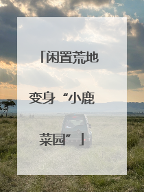 闲置荒地变身“小鹿菜园”